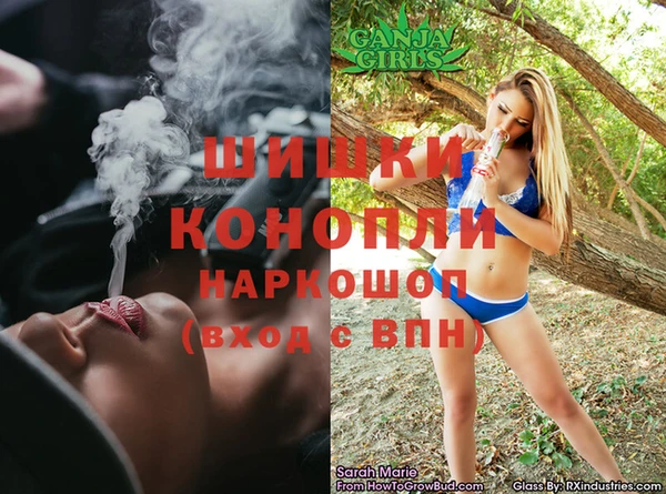 ГАЛЛЮЦИНОГЕННЫЕ ГРИБЫ Ладушкин