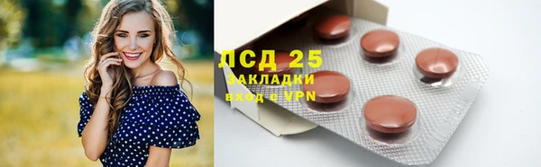 ГАЛЛЮЦИНОГЕННЫЕ ГРИБЫ Ладушкин