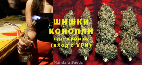 ГАЛЛЮЦИНОГЕННЫЕ ГРИБЫ Ладушкин