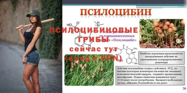 герыч Лиски