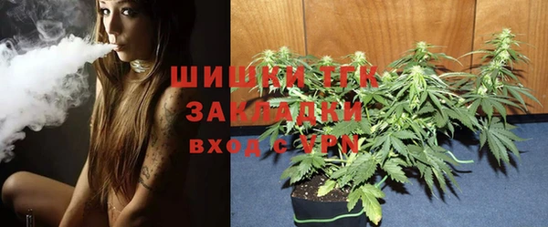 ГАЛЛЮЦИНОГЕННЫЕ ГРИБЫ Ладушкин