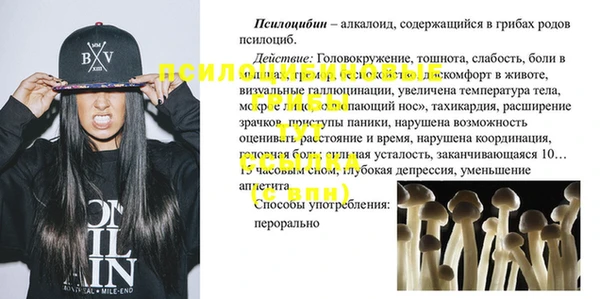 ГАЛЛЮЦИНОГЕННЫЕ ГРИБЫ Ладушкин