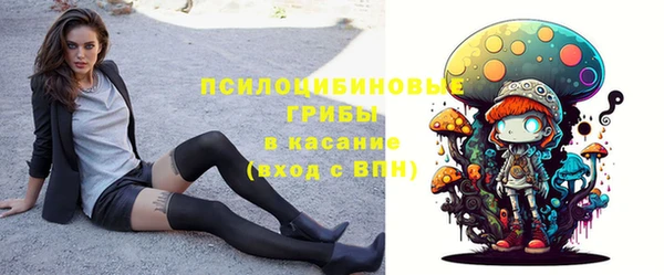 ГАЛЛЮЦИНОГЕННЫЕ ГРИБЫ Ладушкин