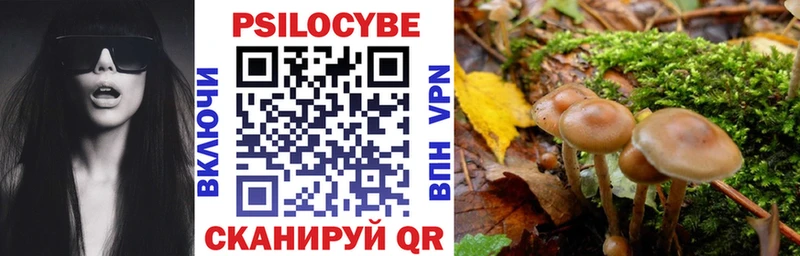 Галлюциногенные грибы MAGIC MUSHROOMS  гидра зеркало  Майский 