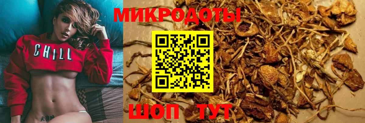 Псилоцибиновые грибы Psilocybe Майский