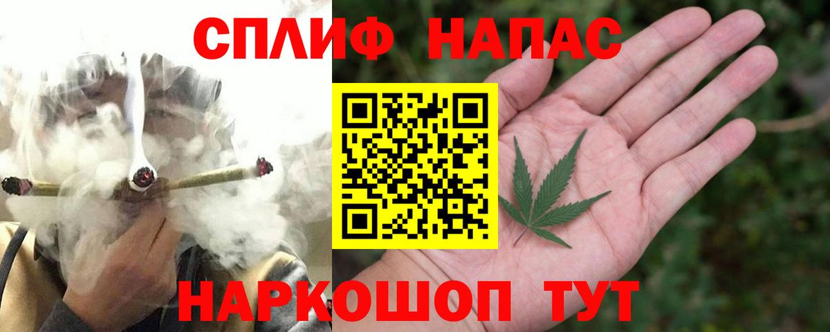Бошки Шишки гибрид  Канабис планчик  Вход с VPN  Майский 